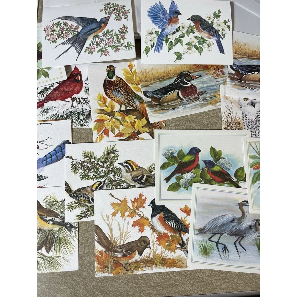 Birds Bird Notecard Card Lot w/ Envelopes Frameable Art Duck Cardinal Blue Jay